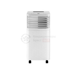 TCL TAC-09CPB/RPS