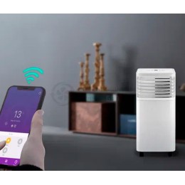 TCL TAC-09CPB/RPS