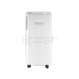 TCL TAC-09CPB/RPS