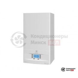 Настенный газовый котел Electrolux GCB 24 Basic Space i